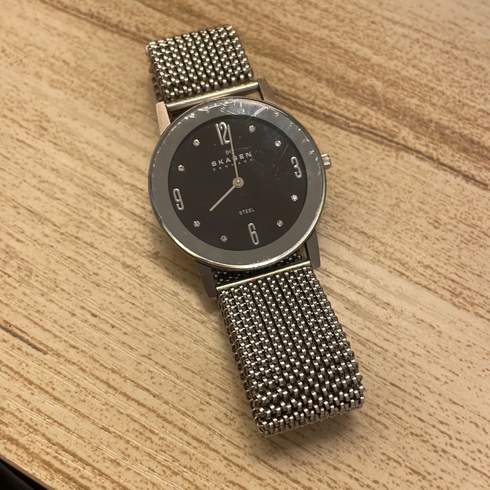 Skagen steel womens watch